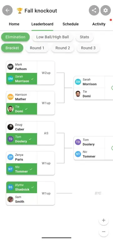Elimination bracket view